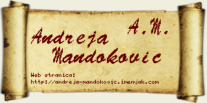 Andreja Mandoković vizit kartica